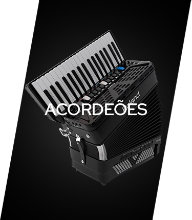 Filtrar Categoria Acordeon