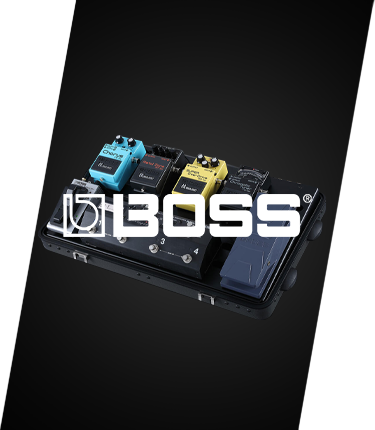 Filtrar Categoria BOSS
