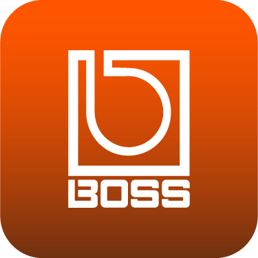Filtrar Categoria BOSS